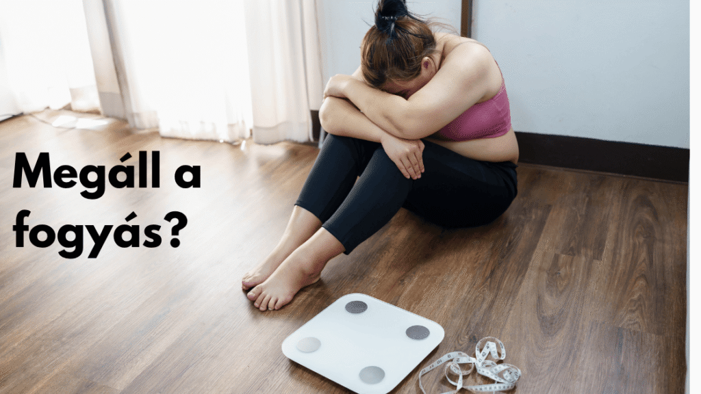 megáLL a fogyás cikk kimelet kepe